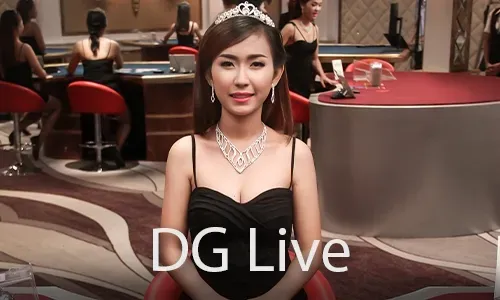 The Social Aspect of kkkjili Online Bingo