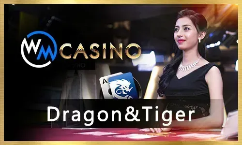 The Ultimate Guide to Baccarat at kkkjili
